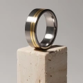 AH-Zebra-waska-4-matt-titanring-vigselring-guld-7mm.webp